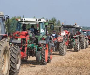 Osijek: Svečano otvorenje ovogodišnjeg natjecanja u oranju 25.08.2018., Osijek - Otvorenje 16. Natjecanja u oranju RH, 7. Natjecanja u oranju konjima RH i 5. Farm Show-a kojem je nazocio potpredsjednik Vlade RH i ministar poljoprivrede Tomislav Tolusic. 
Photo: Davor Javorovic/PIXSELL