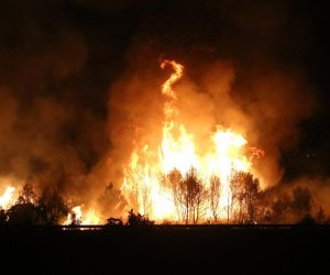 17.07.2017., Vrpolje -
Do kasno u noc pozar od cvora Vrpolje prema Perkovicu se nije smanjivao vec se rasplamsavao cemu je pogodovao jak vjetar.
Photo: Dusko Jaramaz/PIXSELL