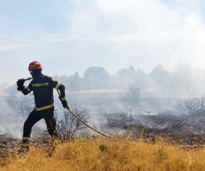 Zagreb, 27.8.2021.- Poar otvorenog prostora kod Jadrtovca je lokaliziran, a vatrogasci i dalje saniraju poarite. 
foto HINA/ HVZ/ ua