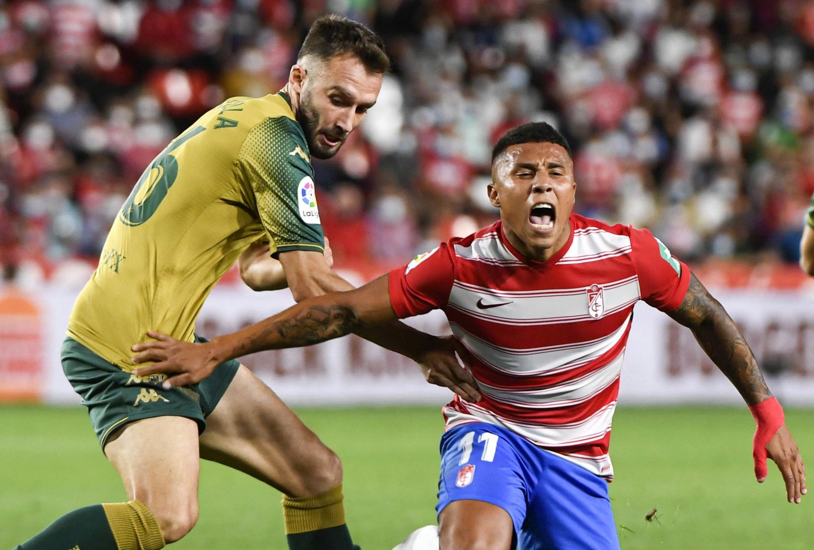 epa09466311 Granada's striker Darwin Machis (R) vies for the ball with Betis' defender German Pezzella (L) during the Spanish LaLiga soccer match between Granada CF and Real Betis at Nuevo Los Carmenes stadium in Granada, southern Spain, 13 September 2021.  EPA/Miguel Angel Molina