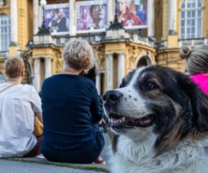 04.09.2021., Zagreb - Gradjani uzivaju u Ljetnim vecerima Hrvatskog narodnog kazalista u Zagrebu. Veceras su na programu bile Opera i Drama HNK u Zagrebu.
Photo: Davor Puklavec/PIXSELL