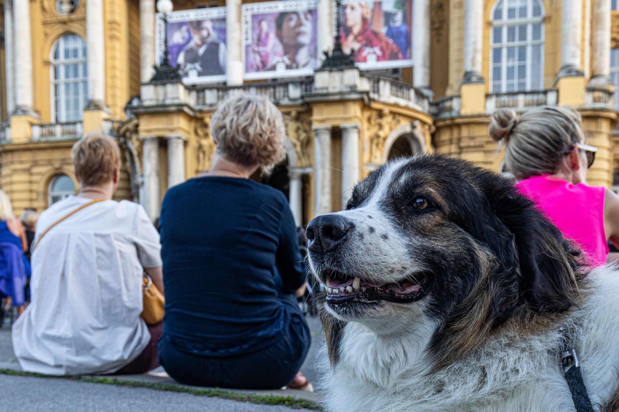 04.09.2021., Zagreb - Gradjani uzivaju u Ljetnim vecerima Hrvatskog narodnog kazalista u Zagrebu. Veceras su na programu bile Opera i Drama HNK u Zagrebu.
Photo: Davor Puklavec/PIXSELL