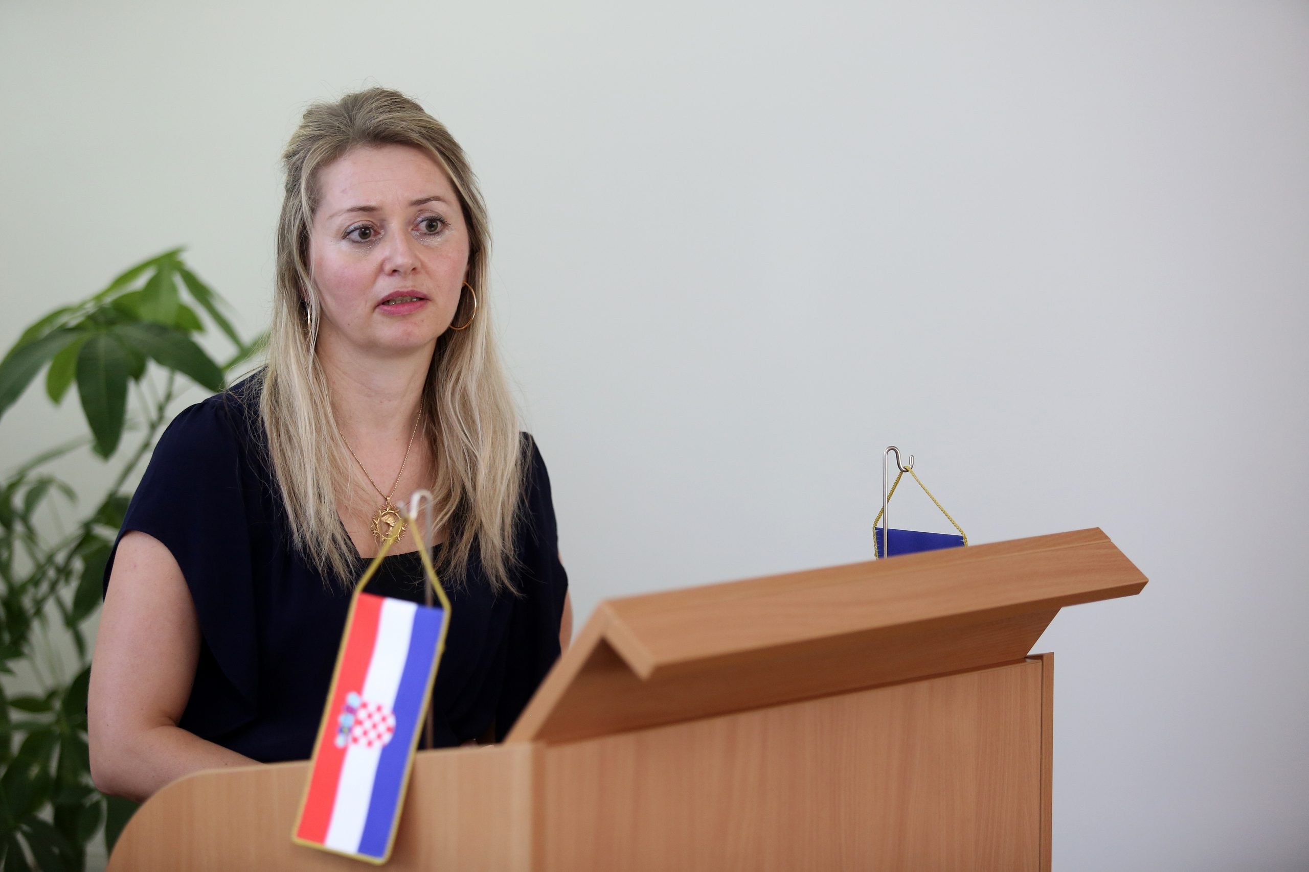 06.06.2018., Zagreb - U zavodu za javno zdravstvo odrzava se predavanja i radionice  o oralnom zdravlju djece.  Ivana Pavic Simetin.
Photo: Borna Filic/PIXSELL