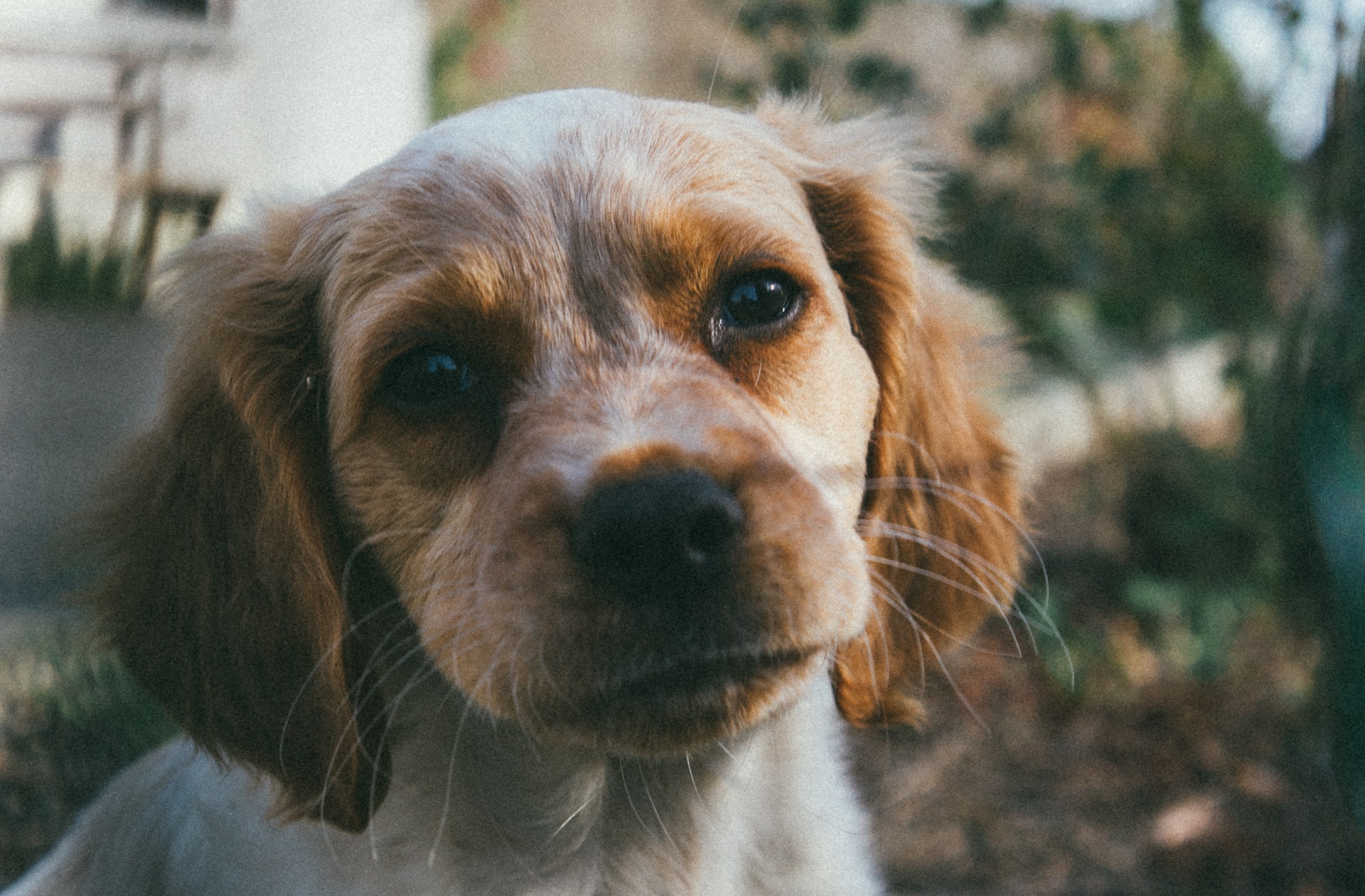 Unsplash/Tobias Tullius