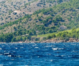 18.08.2014., otok Brac, Bol - Imanje Zvonimira i Leonarde Boban u Murvici nedaleko Bola. Do kuce na imanju je tesko doci kopnom jer je odmah uz more, a iznad je borova suma i sve je ogradjeno. Photo: Ivana Ivanovic/PIXSELL