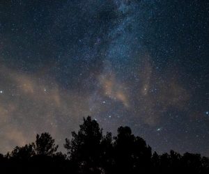 12.08.2020., Rakalj - 
Suze svetog Lovre ili zvijezde padalice koje vidimo tijekom meteorske kise pripadaju kategoriji Perzeida. Perzeidi su meteorski roj kojemu je radijant u zvijezdju Perzeju, a vidljivi su od 25. srpnja do 20. kolovoza.  
Photo: Pixsell/Srecko Niketic