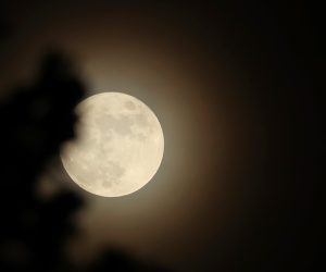 20.10.2021., Zagreb - Pun mjesec nad Zagrebom.
Pixsell/Luka Stanzl