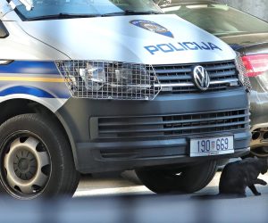 10.09.2021., Zagreb. Simpaticni crni macak prvo je mirno odmarao pored policijskog vozila a onda i opusteno prosetao po dvorisnoj strani zgrade Uskoka. Photo: Sanjin Strukic/PIXSELL