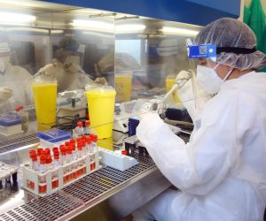 18.11.2020., Karlovac - U Zavodu za javno zdravstvo Karlovacke zupanije svakodnevno u prosjeku obrade oko 200 uzetih uzoraka sa testiranja na COVID-19. Mikrobiolozi u timovima lijecnika specijalista, inzenjera medicinsko laboratorijske dijagnostike i tehnicara obraduju testove u osam faza. Cijeli postupak od upisivanja, razvrstavanja, pcr-a traje nekoliko sati, a rezultati testiranja su poznati u roku 24 sata. Photo: Kristina Stedul Fabac/PIXSELL