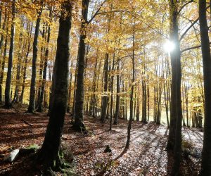 23.10.2021., Platak - Jesen na Platku.