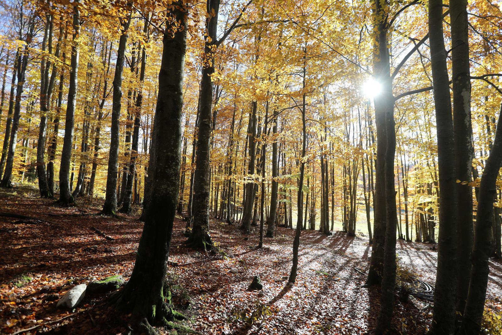23.10.2021., Platak - Jesen na Platku.