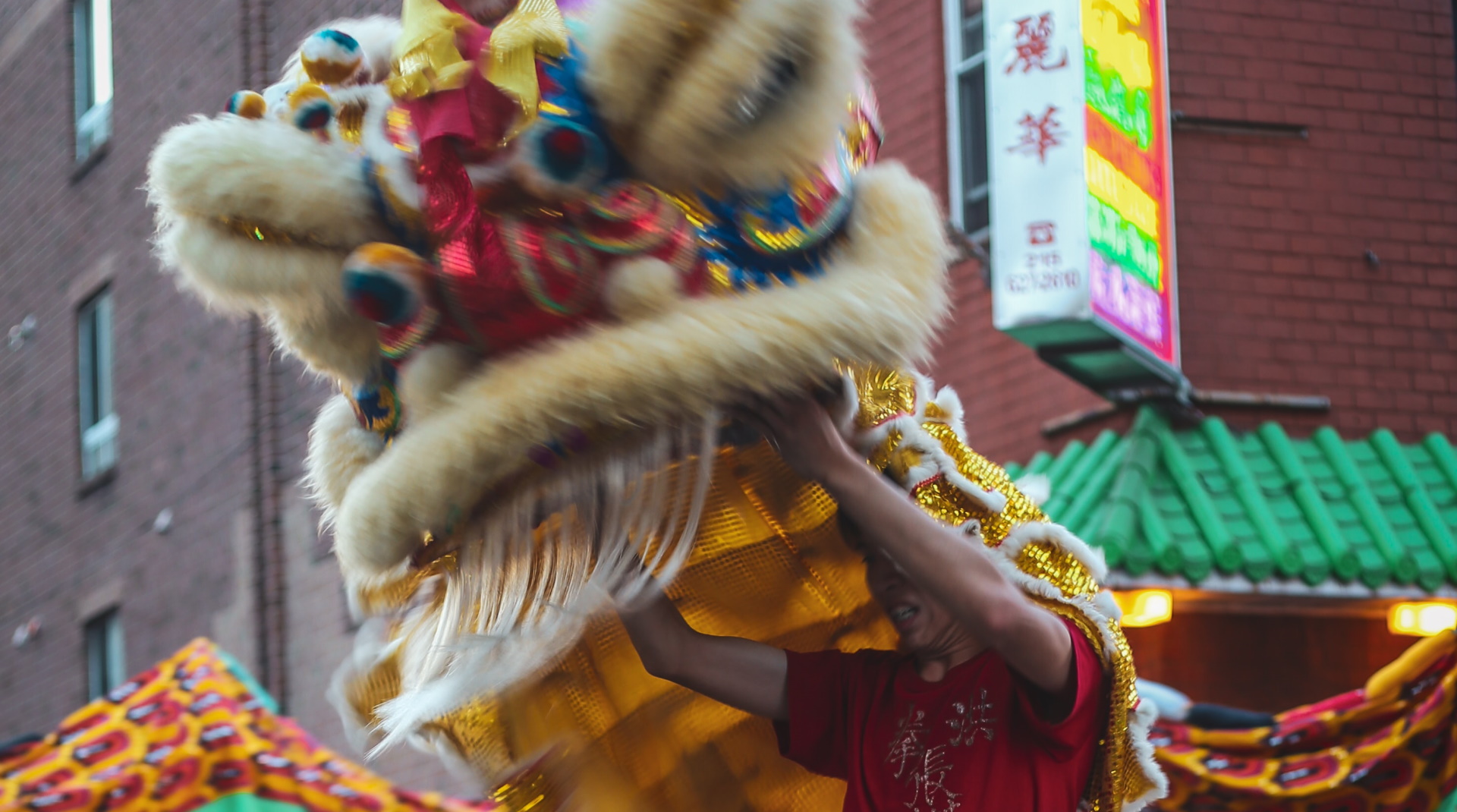 Unsplash/Dyana Wing So