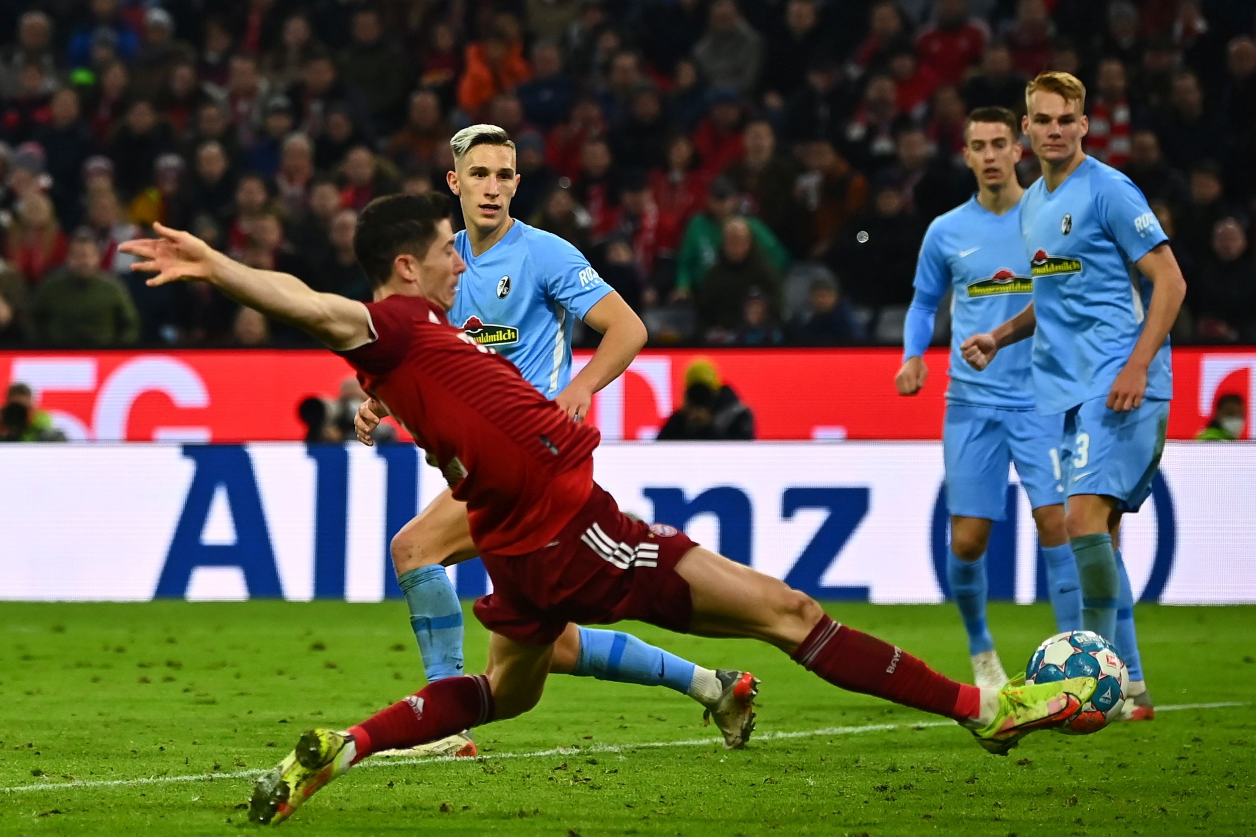 epa09568154 Munich's Robert Lewandowski (L) scores the 2-0 lead during the German Bundesliga soccer match between FC Bayern and SC Freiburg in Munich, Germany, 06 November 2021.  EPA/PHILIPP GUELLAND CONDITIONS - ATTENTION: The DFL regulations prohibit any use of photographs as image sequences and/or quasi-video.