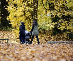 07.11.2021., Zagreb -  Jesenska atmosfera u parku Maksimir.
Photo: Matija Habljak/PIXSELL