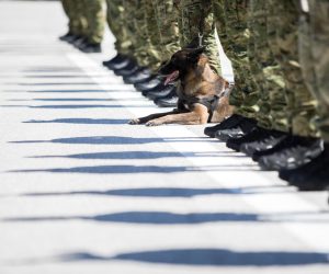 18.5.2021. Delnice - Predsjednik Republike i vrhovni zapovjednik Oruzanih snaga Republike Hrvatske Zoran Milanovic sudjelovao je na svecanom obiljezavanju 30. obljetnice osnutka Specijalnih postrojbi Hrvatske vojske i Dana Zapovjednistva specijalnih snaga u vojarni Stozerni brigadir Ante Saskor. Photo: Nel PavleticPIXSELL