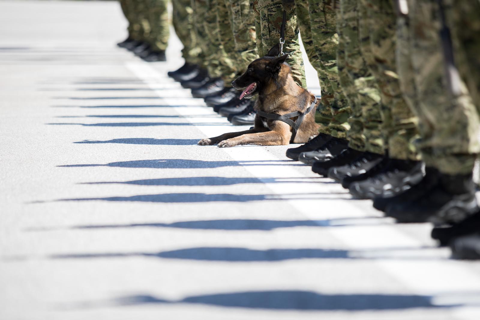18.5.2021. Delnice - Predsjednik Republike i vrhovni zapovjednik Oruzanih snaga Republike Hrvatske Zoran Milanovic sudjelovao je na svecanom obiljezavanju 30. obljetnice osnutka Specijalnih postrojbi Hrvatske vojske i Dana Zapovjednistva specijalnih snaga u vojarni Stozerni brigadir Ante Saskor. Photo: Nel PavleticPIXSELL