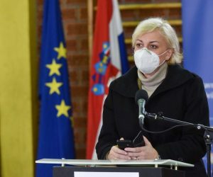 16.11.2020., Zagreb - Nacionalni stozer civilne zastite odrzao je redovnu konferenciju za medije.
Photo: Davorin Visnjic/PIXSELL