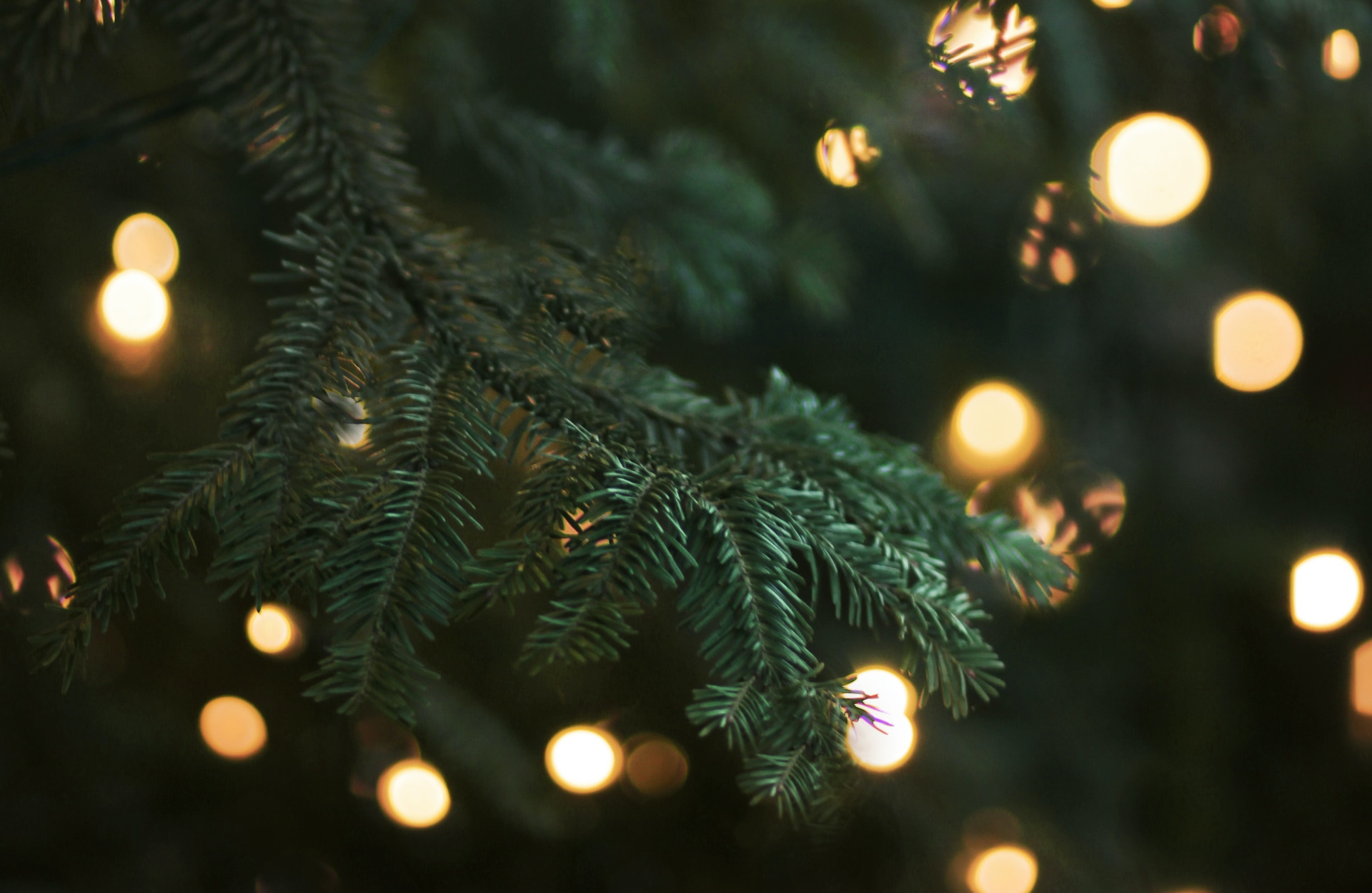 Unsplash/Morgane Le Breton