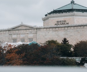 Unsplash/GARY RUIZ
