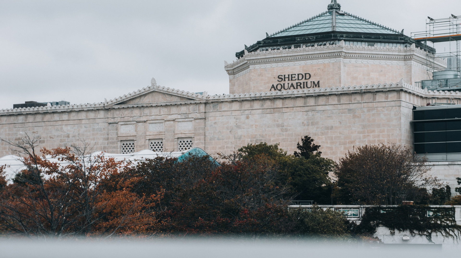 Unsplash/GARY RUIZ