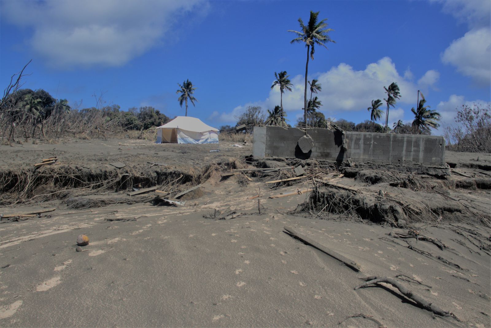 epa09706161 An undated handout photo made available by Tonga Red Cross Society (TRCS) shows temporary shelters set up with the aid of Red Cross teams in Kanokupolu, western Tongatapu, Tonga (issued 24 January 2022), following the eruption of Tonga's Hunga Tonga- Hunga Ha'apai underwater volcano on 15 January. The Red Cross said it was providing not only tents, food, water and toilets to 173 households on Tonga's main island, but also comfort.  EPA/TONGA RED CROSS SOCIETY HANDOUT -- MANDATORY CREDIT: TONGA RED CROSS SOCIETY -- AUSTRALIA AND NEW ZEALAND OUT HANDOUT EDITORIAL USE ONLY/NO SALES