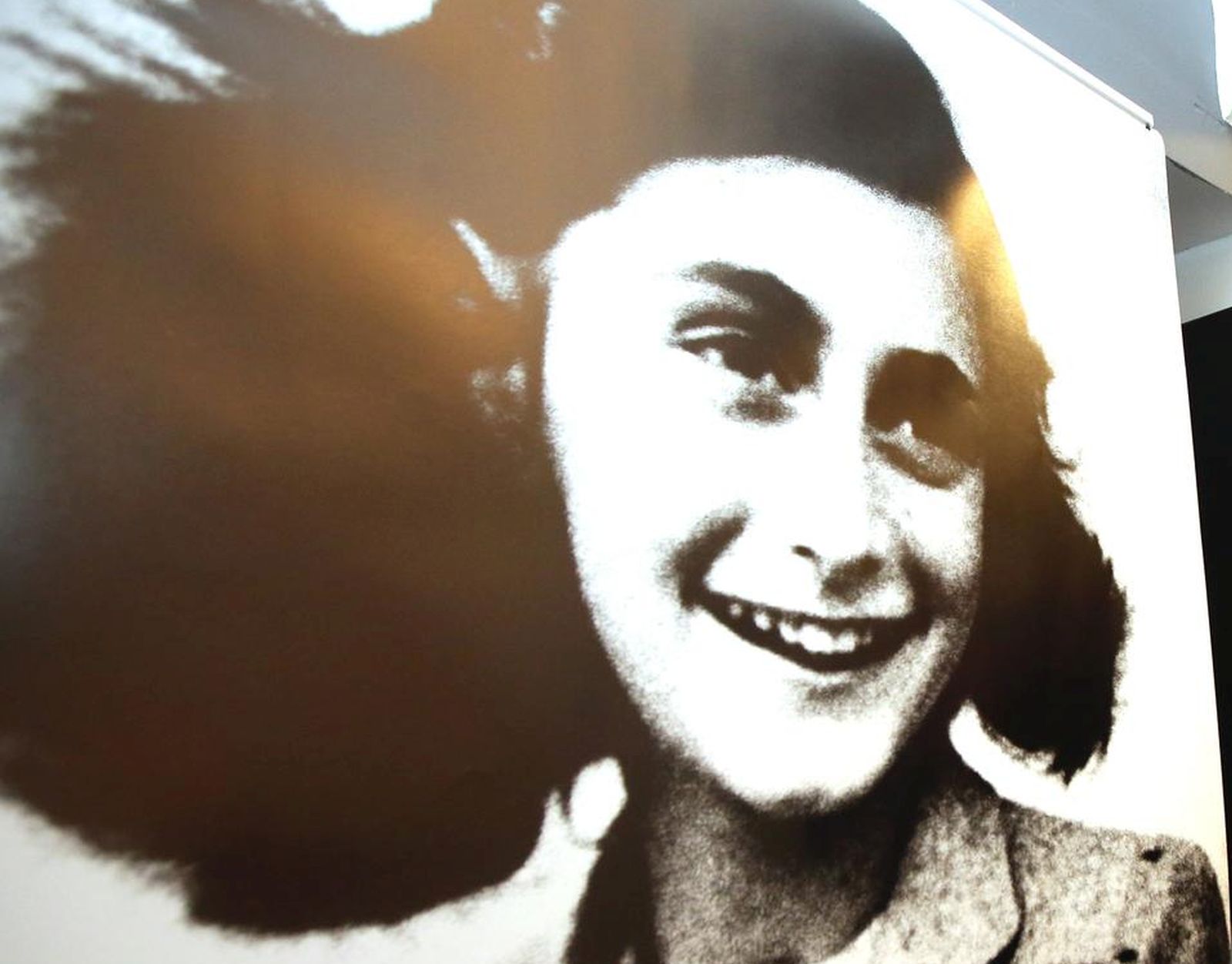 27.01.2017., Sibenik - Paneli izlozbe Anne Frank - povijest za sadasnjost, koji su povuceni iz Tehnicke skole u Sibeniku, postavljeni su povodom obiljezavanja Medjunarodnog dana sjecanja na zrtve holokausta u Muzeju pobjede i oslobodjenja Dalmacije u II. svjetskom ratu. Zoran Restovic.  rPhoto: Dusko Jaramaz/PIXSELL