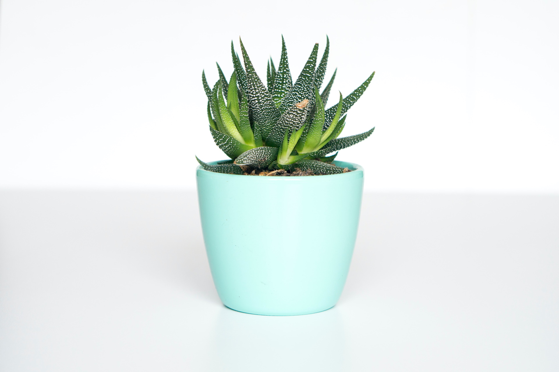 Unsplash/Galina N