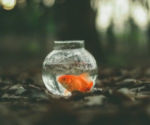 Unsplash/Ahmed Zayan