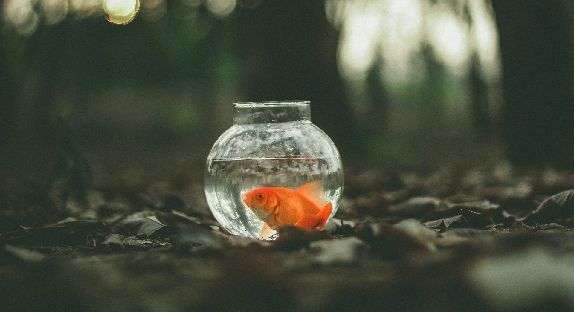 Unsplash/Ahmed Zayan