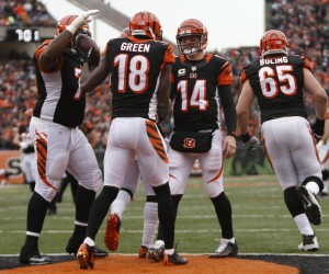 Cincinnati Bengals wide receiver A.J. Green (18) celebrates with quarterback Andy Dalton (14) after scoring a touchdown in the second half of an NFL football game against the St. Louis Rams, Sunday, Nov. 29, 2015, in Cincinnati. The Bengals won 31-7. (AP Photo/Frank Victores)
