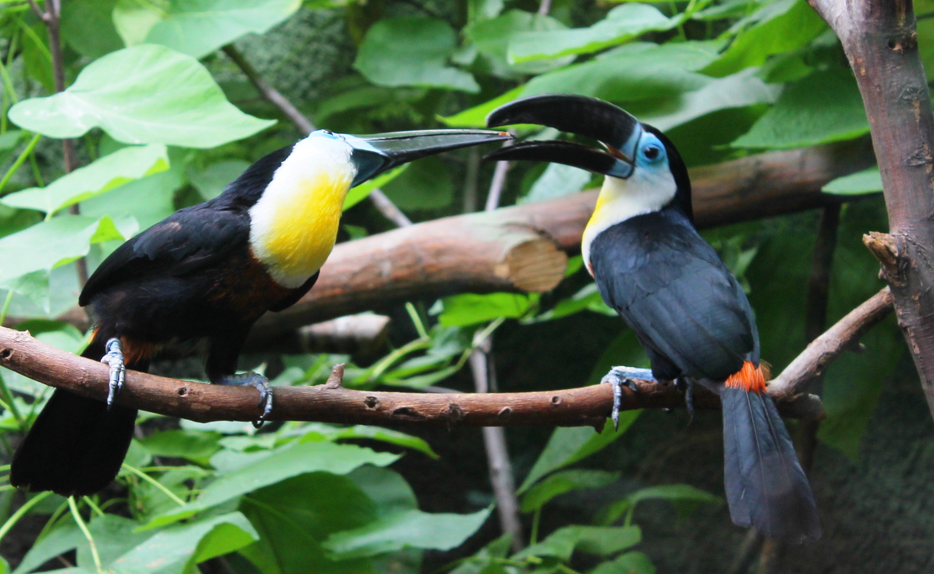 Press/Zoo Zagreb