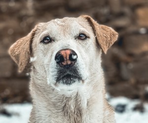 Unsplash/Melanie Picazo
