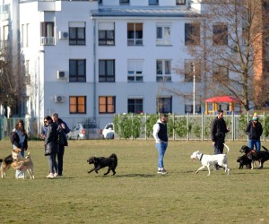 13.02.2022., Zagreb - Vlasnici i njihovi ljubimci, psi, provode suncan dan u parku za pse pored jezera Jarun. (13.02.2022., Zagreb - Vlasnici i njihovi ljubimci, psi, provode suncan dan u parku za pse pored jezera Jarun., Pixsell/Slaven Branislav Babic