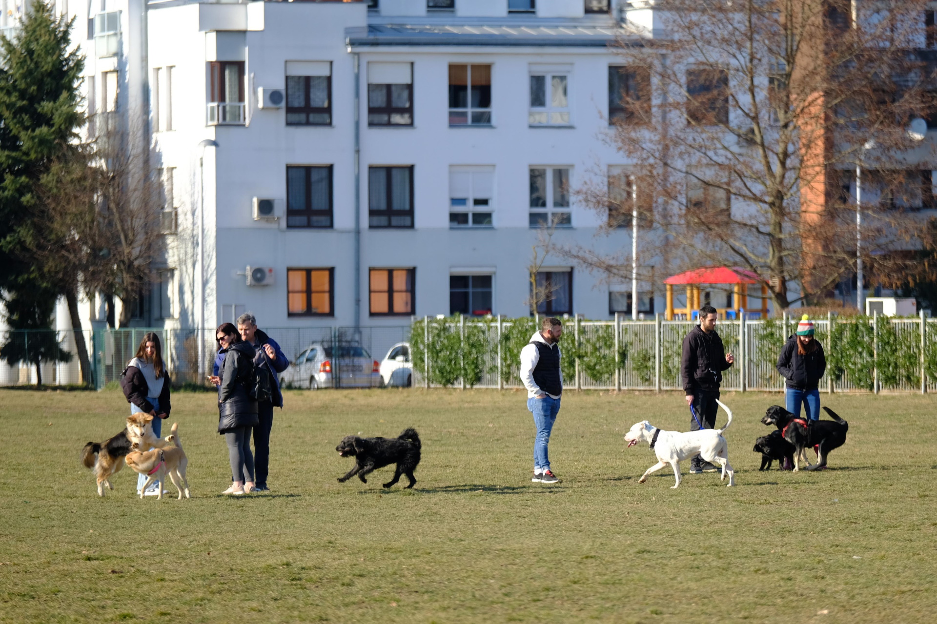 13.02.2022., Zagreb - Vlasnici i njihovi ljubimci, psi, provode suncan dan u parku za pse pored jezera Jarun. (13.02.2022., Zagreb - Vlasnici i njihovi ljubimci, psi, provode suncan dan u parku za pse pored jezera Jarun., Pixsell/Slaven Branislav Babic
