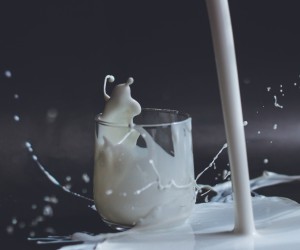 Unsplash/Anita Jankovic
