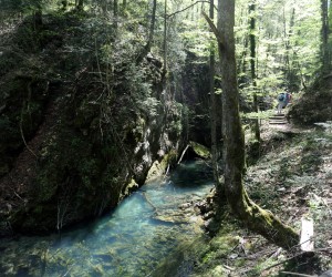 23.04.2018., Vrbovsko - Izletiste i kanjon Kamacnik kraj grada Vrbovskog u Gorskom Kotaru. 
Photo: Goran Kovacic/PIXSELL