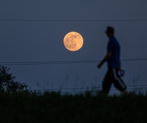 15.05.2022., Zagreb - Pun mjesec iznad savskog nasipa uz jezero Jarun. Pixsell/Davor Puklavec