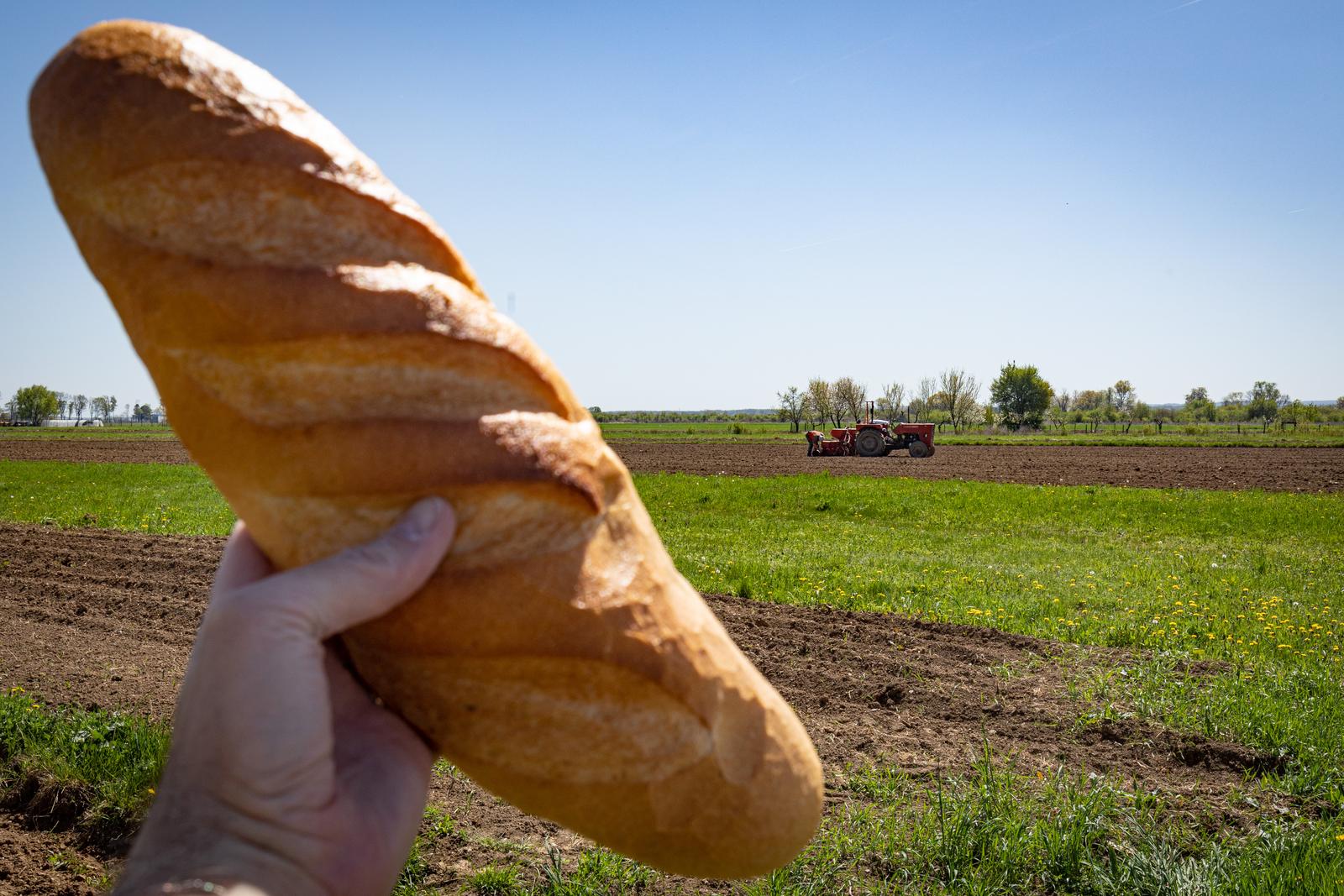 14.04.2022., Zagreb - Cijene hrane u ozujku su dostigle svoj vrhunac, a ocekuje se i daljnje poskupljenje zbog rata u Ukrajini. Buduci da je Ukrajina jedna od najvecih izvoznica zitarica i biljnih ulja, upravo bi te namirnice mogle biti na udaru najvecih poskupljenja. Hrvatska ne prozvodi dovoljno hrane za cijelo stanovnistvo, a osobito se to odnosi na proizvodnju zitarica i ulja. U Hrvatskoj su pekarski proizvodi u ozujku poskupili za 16,5 posto, a biljna ulja za cak 23,2 posto. Prema posljednjim podacima, u Hrvatskoj je hrana u samo mjesec dana poskupila za 10 posto. Analiticari tvrde kako su poskupljenja jos uvijek moguca, ali da do nestasice ne bi trebalo doci, barem ne u skorije vrijeme. 
 Photo: Davor Puklavec/PIXSELL