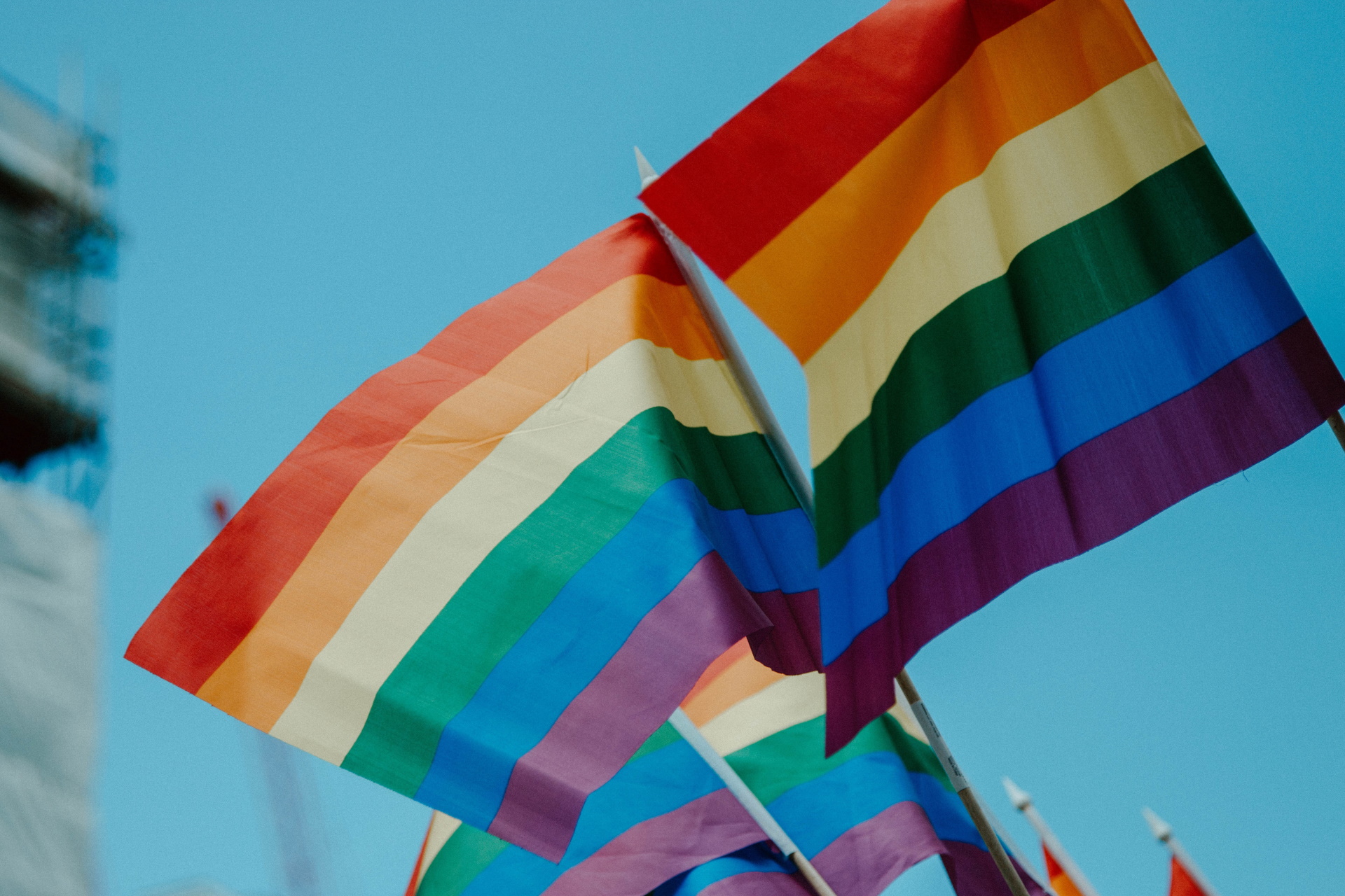 Unsplash/daniel james