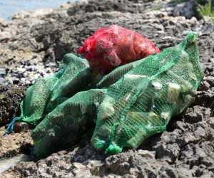 22.05.2022.,Sibenik - U uvali Dumboka odrzana je ekoloska akcija ciscenja uvale u organizaciji Kulturno-ekoloske udruge 'Caretta Caretta', Powerlifting kluba 'Šibenik',Ronalackog kluba 'Roniti se mora' iz Sibenika i Funcuta.Ovu uvalu ciste po 5.put.Samo par ronilaca je doslo na akciju jer je ostatak na velikoj ekoloskoj akciji ciscenja na Rabu. Photo: Dusko Jaramaz/PIXSELL