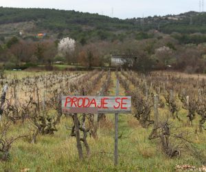 23.02.2022., Sibenik - U Dalmatinskom zaledju sve je vise poljoprivrednih zemljista i vinograda oglaseno za prodaju. Photo: Hrvoje Jelavic/PIXSELL