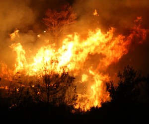 24.07.2017., Klis - Sumski pozar. "nPhoto: Ivo Cagalj/PIXSELL