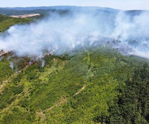 Sisak, 3.7.2022.- Poar 15-tak hektara hrastove ume na podruèju Rajiæa u Sisaèko-moslavaèkoj upaniji i dalje je aktivan, gase ga lokalna vatrogasna drutva, a angairan je i helikopter s ureðajem za gaenje MTV Mi8,  izvijestili su u nedjelju iz Hrvatske vatrogasne zajednice (HVZ). 
foto HINA/ HVZ/ JVP Novska/ ua