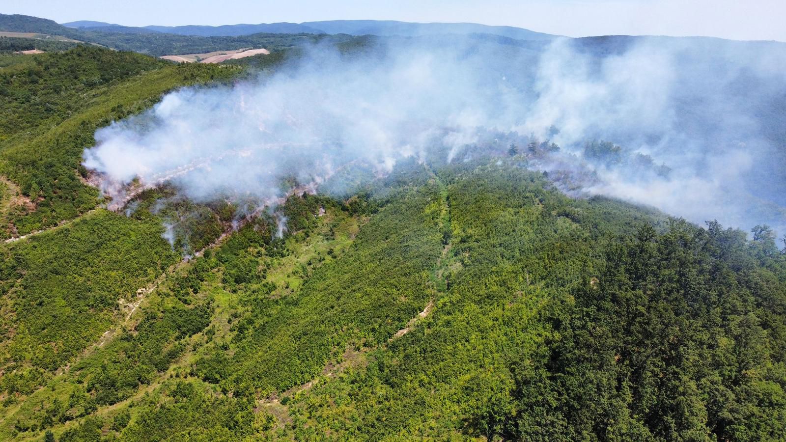 Sisak, 3.7.2022.- Poar 15-tak hektara hrastove ume na podruèju Rajiæa u Sisaèko-moslavaèkoj upaniji i dalje je aktivan, gase ga lokalna vatrogasna drutva, a angairan je i helikopter s ureðajem za gaenje MTV Mi8,  izvijestili su u nedjelju iz Hrvatske vatrogasne zajednice (HVZ). 
foto HINA/ HVZ/ JVP Novska/ ua