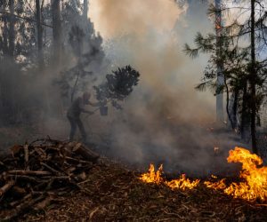 epa10066762 A man tries to put out a fire at Boa Vista, Portugal, 12 July 2022. The fire forced shutting down the highway nr 1 in both directions.  EPA/PAULO CUNHA