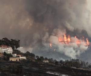epa10069395 The flames consume forest during the fight against the fire in Palmela, in the surroundings of Lisbon, Portugal,13 July 2022. Sixteen of the 18 districts of mainland Portugal are under red notice, the most serious, due to hot weather, with more than a hundred counties in maximum danger of rural fire.  EPA/ANTONIO COTRIM