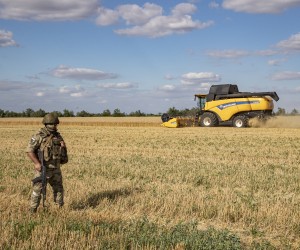 epa10072090 A picture taken during a visit to Melitopol organized by the Russian military shows a Russian serviceman standing guard in a field near Melitopol, Zaporizhia region, southeastern Ukraine, 14 July 2022. (issued 15 July 2022). The conflict in Ukraine has affected the availability and price of wheat worldwide. Melitopol is under the control of Russian forces and the city is administered by a military-civilian administration. On 24 February 2022 Russian troops entered the Ukrainian territory in what the Russian president declared a 'Special Military Operation', starting an armed conflict that has provoked destruction and a humanitarian crisis.  EPA/SERGEI ILNITSKY
