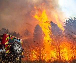 epa10074071 A handout picture made available by the Gironde Fire and Rescue Departmental Service 33 (SDIS 33) shows a forest fire in Landiras, France, 16 July 2022. The Gironde area of France is in the grip of two wildfires with over 10,000 hectares already burned.  EPA/SDIS 33 HANDOUT  HANDOUT EDITORIAL USE ONLY/NO SALES