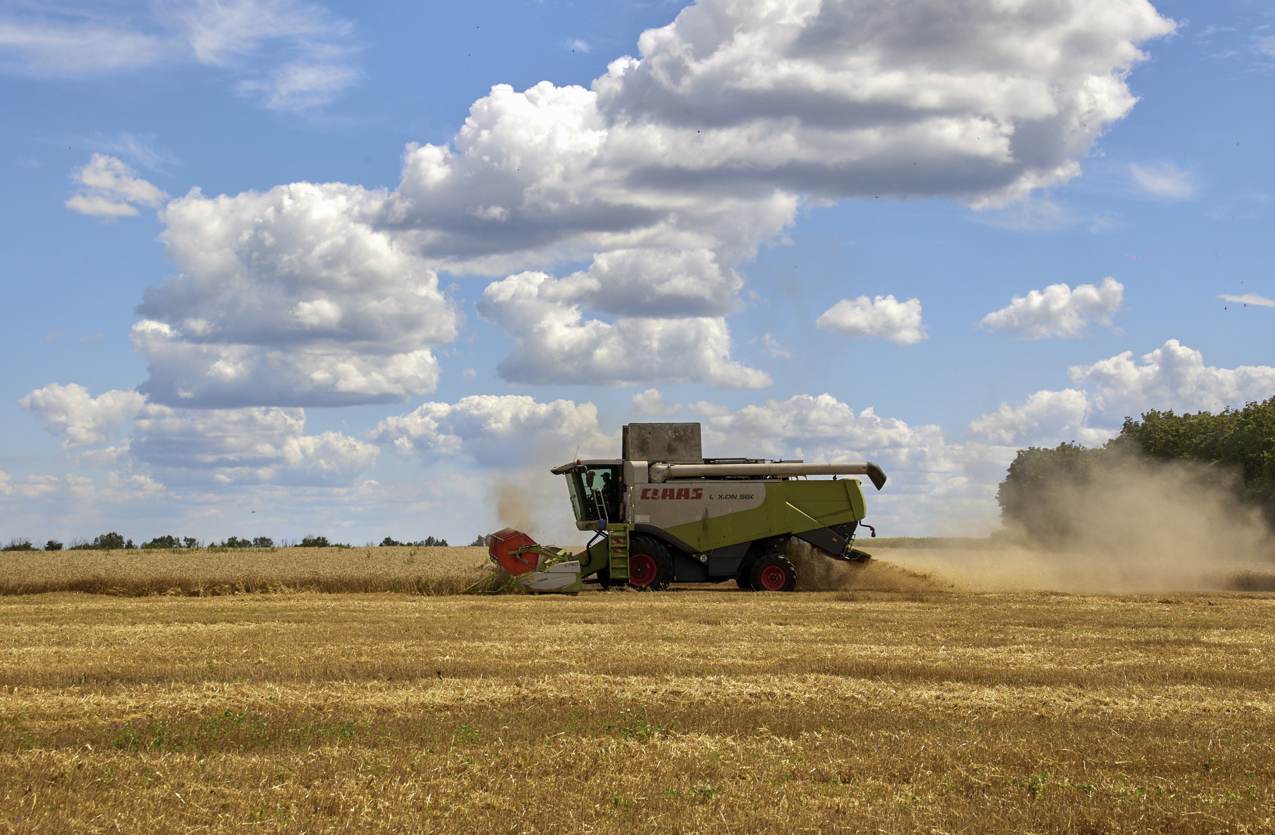 epa10080329 A harvest combine collects wheat at a field about 25 kilometers from the front line in the Chuhuiv region of Kharkiv area, Ukraine, 19 July 2022 amid the Russian invasion. UUkraine faces logistic problems exporting its harvest to the world market due to the Russian invasion which is taking a toll on the country's exports of grains and vegetable oils. Turkish, Ukrainian, Russian, and UN officials on 13 July agreed on mesaures to facilitate Ukrainian grain exports. Turkish president Erdogan at a three-way summit on Syria on 19 July called Russia's approach to get Ukrainian grain stuck at Black Sea ports out of the country as "positive." Russian troops on 24 February entered Ukrainian territory, starting a conflict that has provoked destruction and a humanitarian crisis.  EPA/SERGEY KOZLOV