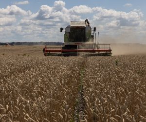 epa10092614 A combine harvester collects wheat in a field near Obukhiv city, Kyiv region, 26 July 2022. Kyiv and Moscow signed a landmark deal on 22 July to resume Ukrainian grain exports from Black Sea ports which would ease an international food crisis. Nevertheless, the day after on 23 July a Russian missile hit the southern Ukrainian sea port of Odesa. Russian troops on 24 February entered Ukrainian territory, starting a conflict that has provoked destruction and a humanitarian crisis.  EPA/ROMAN PILIPEY
